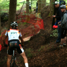DSC08465_JPG-1282564555