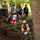 DSC08478_JPG-1282564649