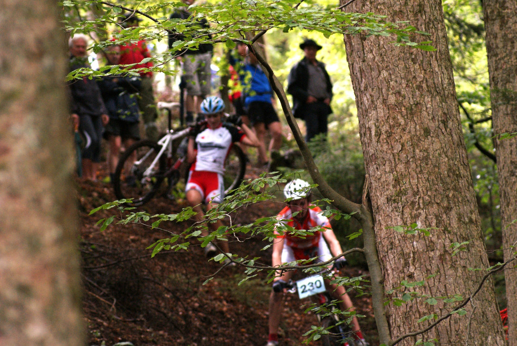 DSC08478_JPG-1282564649