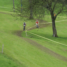 DSC08534_JPG-1282564934