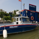 dd-11.jpg