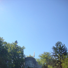 DSC01791_JPG-1282598032