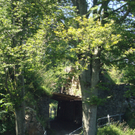 DSC01800_JPG-1282598314