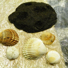 105_0643_jpg-1282628644