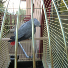 CIMG0405_JPG-1282647676