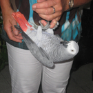 IMG_3837_JPG-1282647705