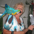 IMG_3846_JPG-1282647735