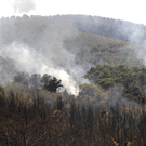 Waldbrände auf Ibiza 