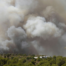 waldbrand3.jpg