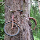 crazy-pics01.jpg