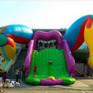 crazy-pics04.jpg