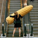 crazy-pics17.jpg