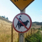 Funny_Pictures_MOments__50_4.jpg