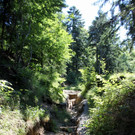 Hochwasser Pfaender Wanderwege weggespuelt_jpg-1282662645