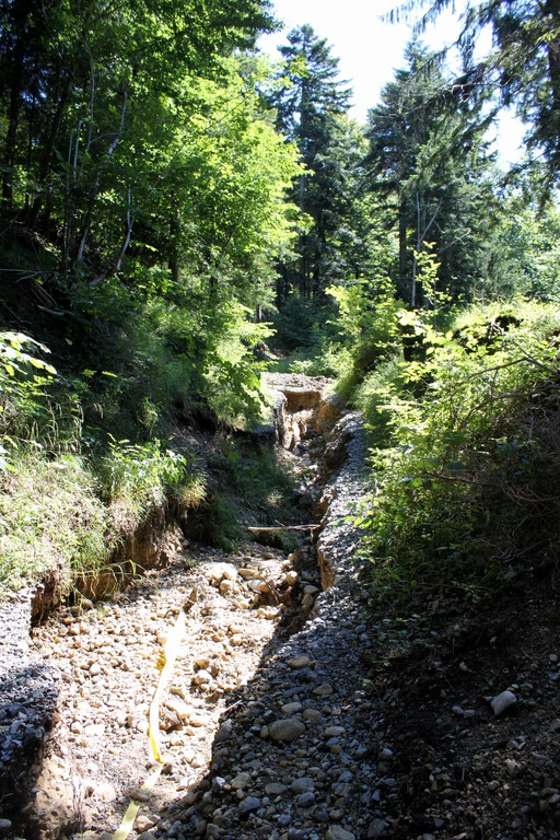 Hochwasser Pfaender Wanderwege weggespuelt_jpg-1282662645