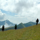 ws18_jpg-1282662875