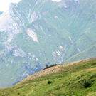 Lech_ M__rzel 027_jpg-1282663030