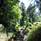 Hochwasser Pfaender Wanderwege weggespuelt_jpg-1282669395