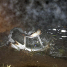 dc1-5vw4g7mi5bk84ykm179_original.jpg