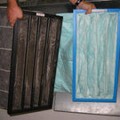 IMG_4147.JPG
