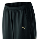 PUMA_506534_01_dazzle Short _1280x768_.jpg