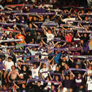 Europa League: Austria Wien - Aris Saloniki 1:1