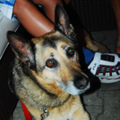 DSC_1988_JPG-1282919578