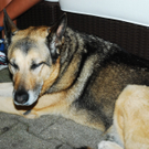 DSC_1989_JPG-1282919614