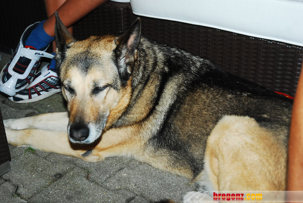 DSC_1989_JPG-1282919614