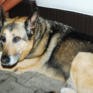 DSC_1990_JPG-1282919648