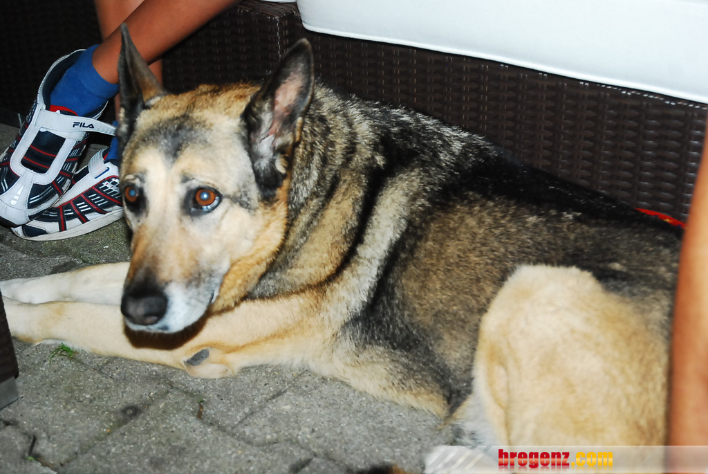 DSC_1990_JPG-1282919648