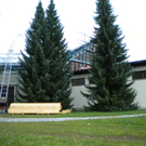 Bild 011_jpg-1282939179