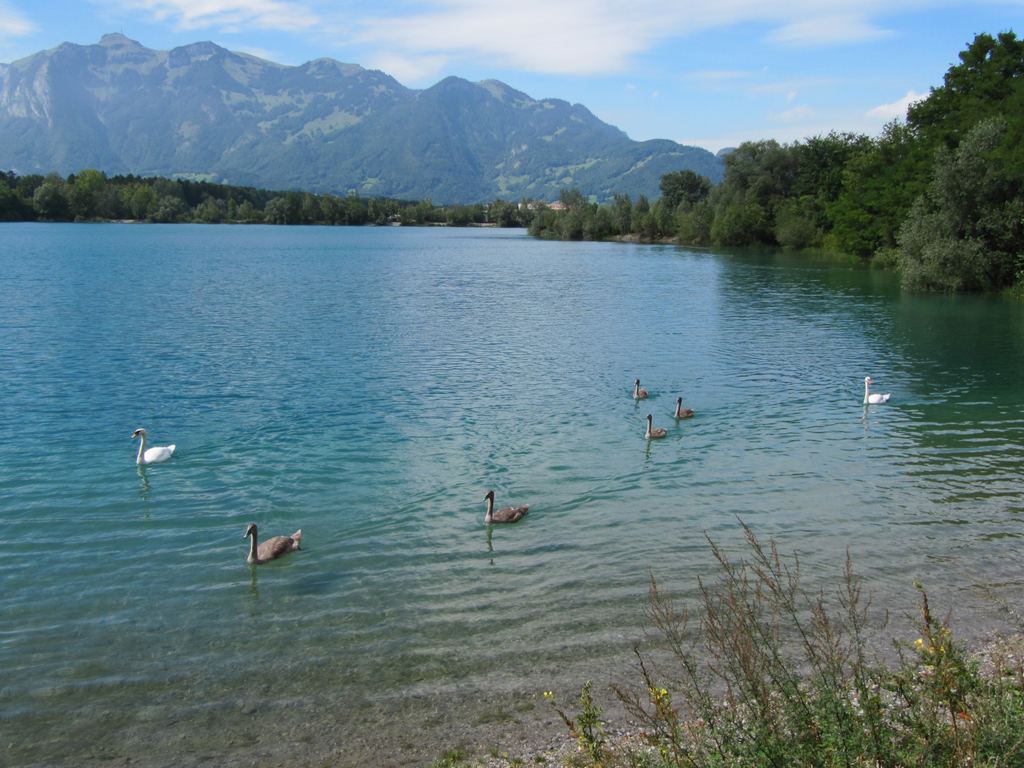 Schw__ne1_JPG-1282981337