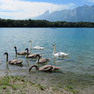 Schw__ne2_JPG-1282981414