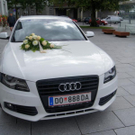 DSC08538.JPG