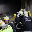 normal_27082010branddmffaktivnews_012.jpg