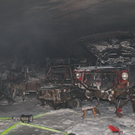 normal_27082010branddmffaktivnews_050.jpg