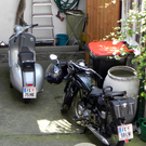 DSCN1593.JPG