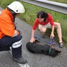 27082010vub12fibaktivnews_20_28_.jpg