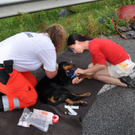 normal_27082010vub12fibaktivnews_20_19_.jpg