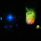 normal_27082010crsdmaktivnews_18.jpg