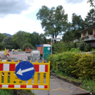 BirkenWerbenKohlplatz15.JPG