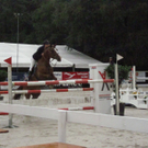 IMG_1555.JPG