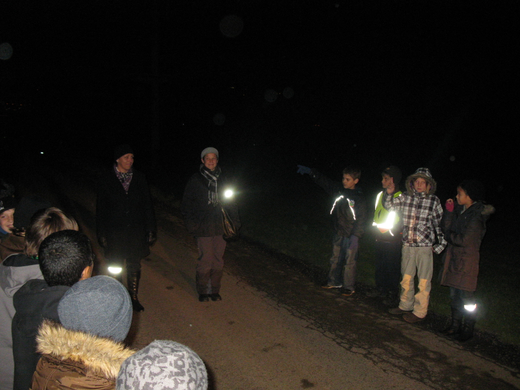 Anfang November 2009 817.jpg