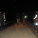 Anfang November 2009 822.jpg