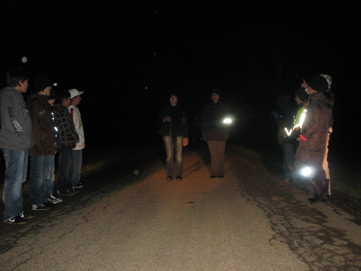 Anfang November 2009 822.jpg