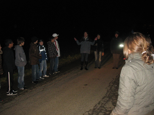 Anfang November 2009 823.jpg