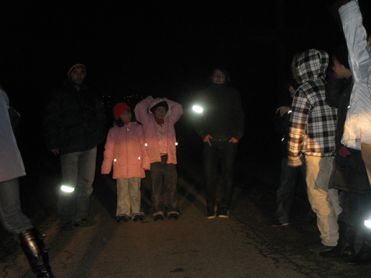 Anfang November 2009 824.jpg