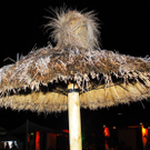 DSC_4553_JPG-1283074007