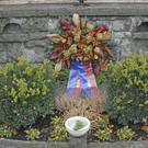 _DSC01780015.JPG